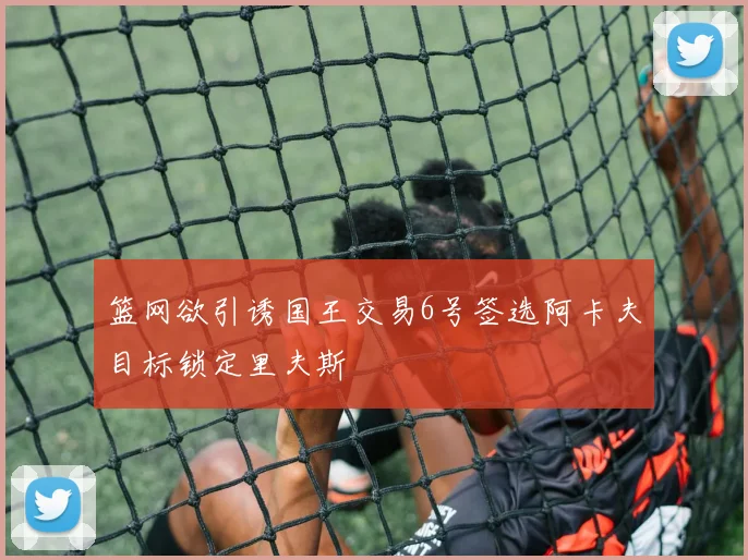 篮网欲引诱国王交易6号签选阿卡夫目标锁定里夫斯